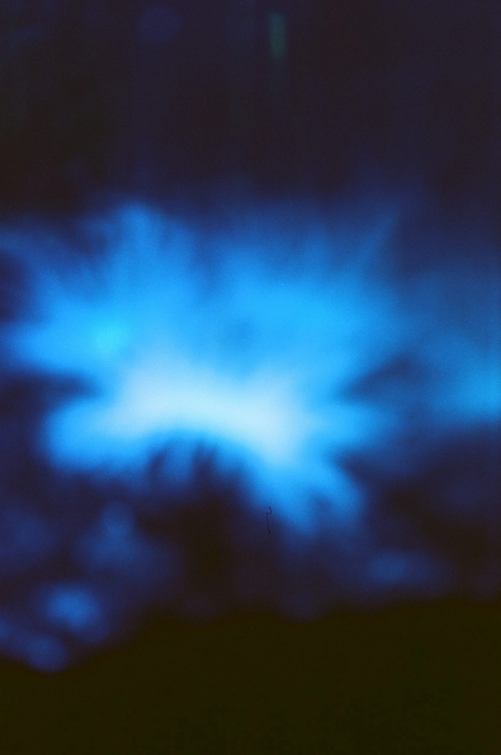 000012130017