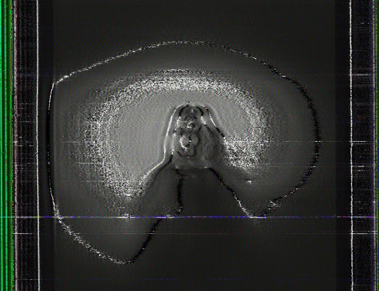 nexus/entropy