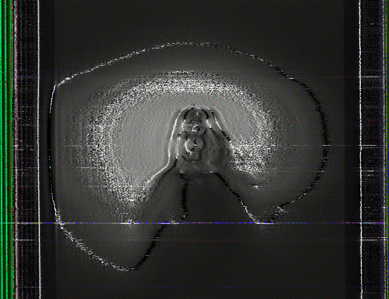 nexus/entropy